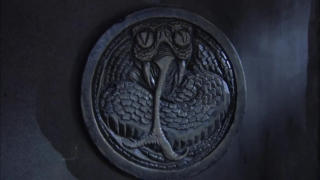 蛇首_蛇首羊首鸡首可能不存在了